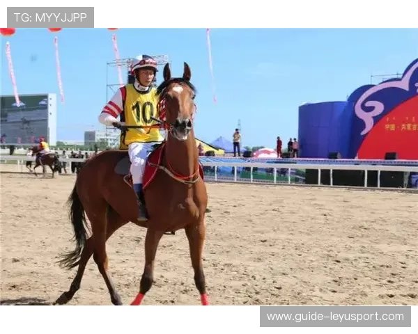 伊朗马术协会与国际组织合作，推广“Chovgan”至全球。