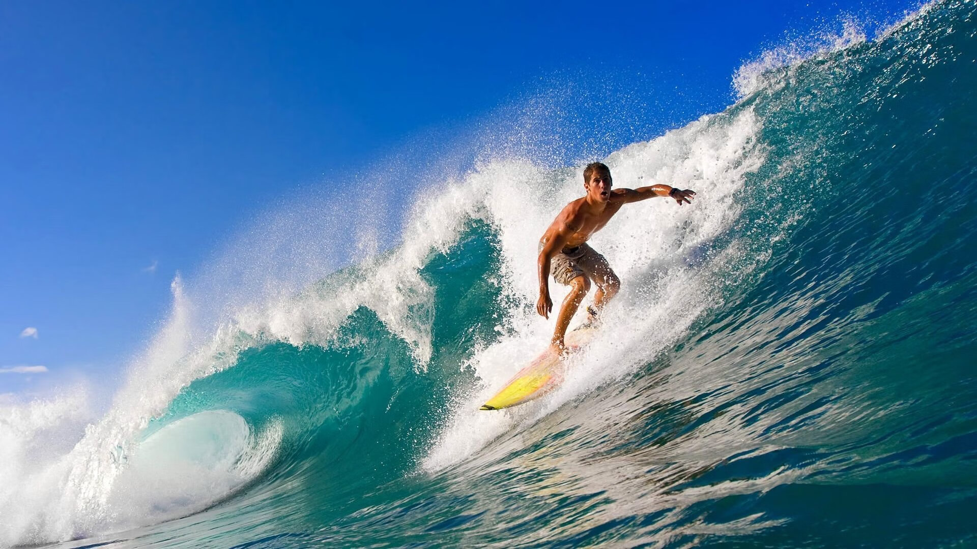 校园体育文化活动社会影响研究，校园体育文化的建设与发展